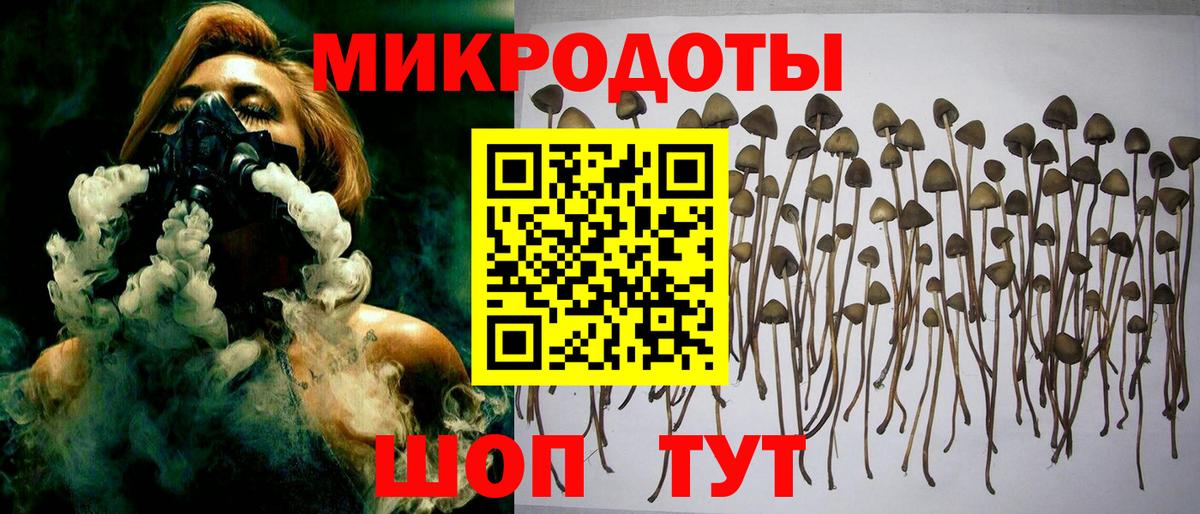 Алексеевка  Галлюциногенные грибы прущие грибы  Псилоцибиновые грибы Psilocybine cubensis  Вход с VPN 