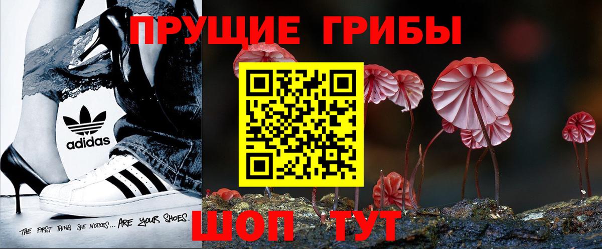 Псилоцибиновые грибы GOLDEN TEACHER Алексеевка